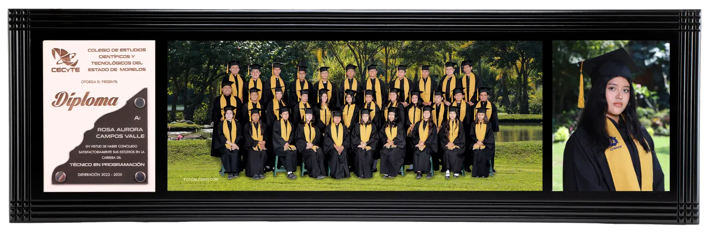 Tríptico Grupal Rolex